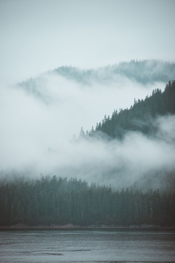 Misty clouds obscure green trees and mountain